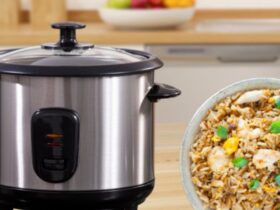 best non toxic rice cooker